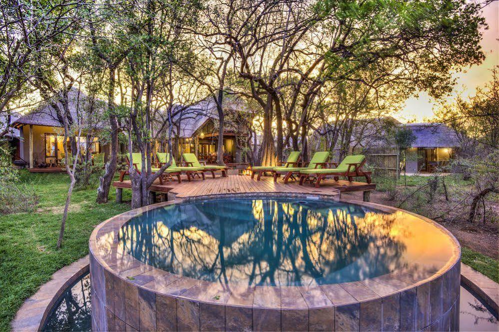 Tambuti Lodge Pilanesberg Extérieur photo