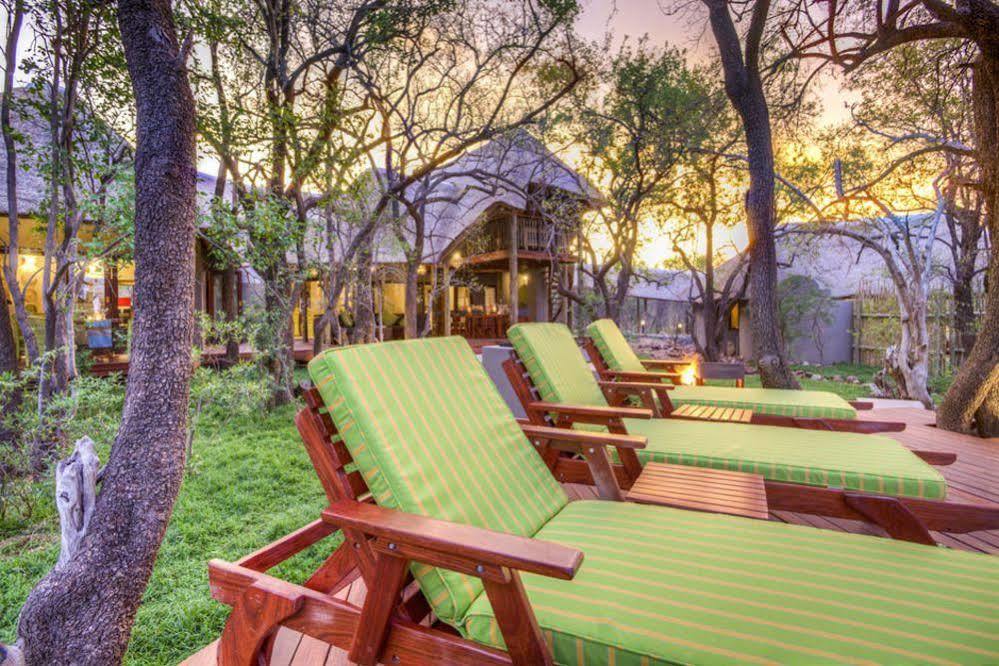 Tambuti Lodge Pilanesberg Extérieur photo