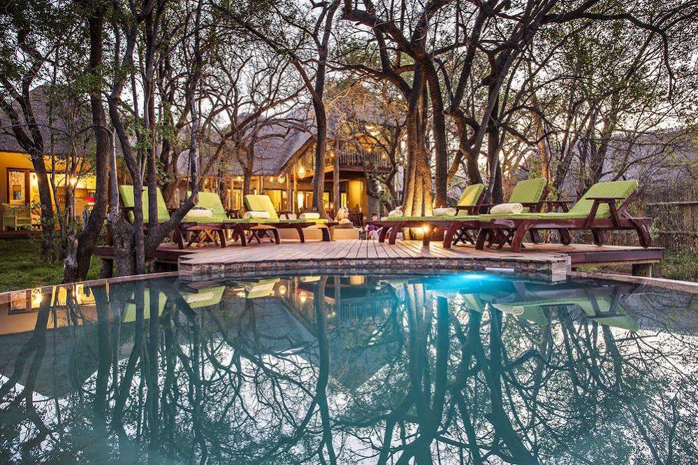 Tambuti Lodge Pilanesberg Extérieur photo